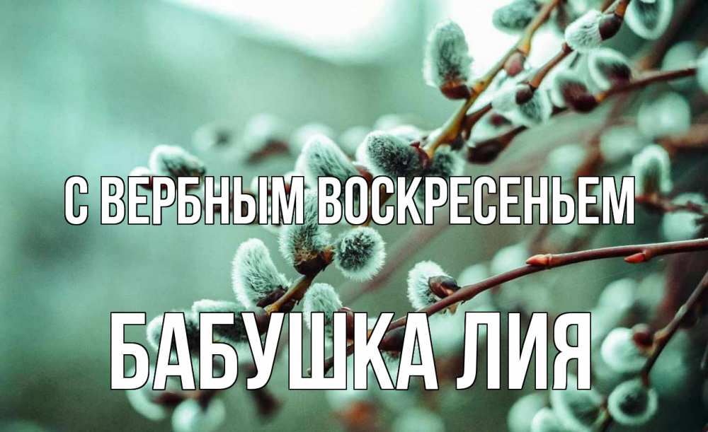 Открытка на каждый день с именем, Бабушка-Лия С вербным воскресеньем верба Прикольная открытка с пожеланием онлайн скачать бесплатно 