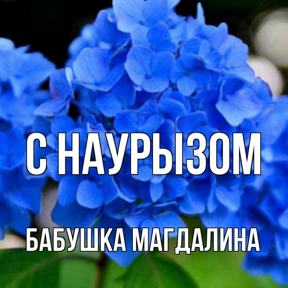 Открытка на каждый день с именем, Бабушка-Магдалина С наурызом синие цветы Прикольная открытка с пожеланием онлайн скачать бесплатно 