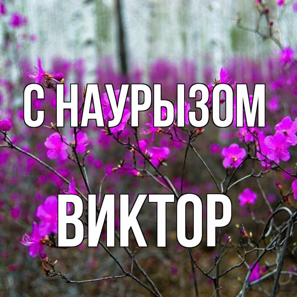 Открытка на каждый день с именем, Виктор С наурызом дикие цветы Прикольная открытка с пожеланием онлайн скачать бесплатно 