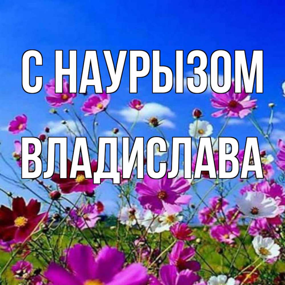 Открытка на каждый день с именем, Владислава С наурызом цветы Прикольная открытка с пожеланием онлайн скачать бесплатно 
