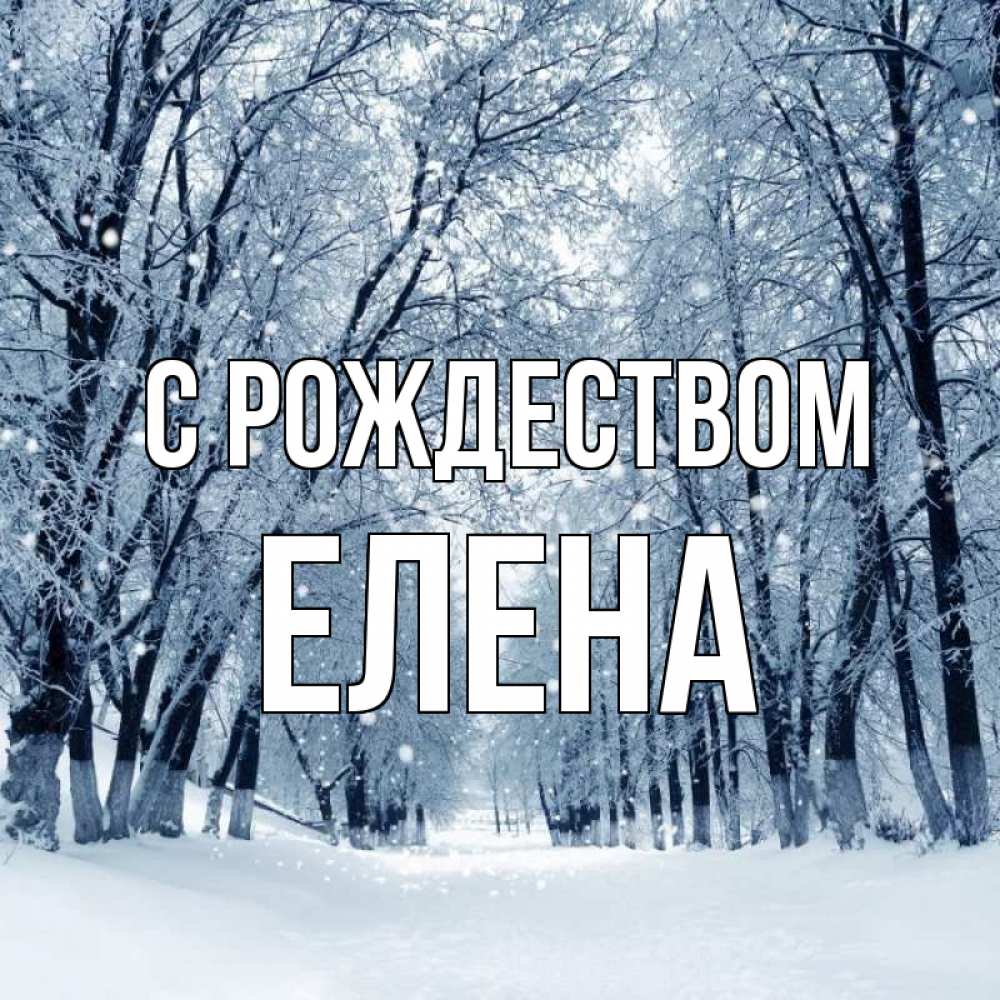 Открытка на каждый день с именем, Елена С рождеством снег, лес, парк Прикольная открытка с пожеланием онлайн скачать бесплатно 