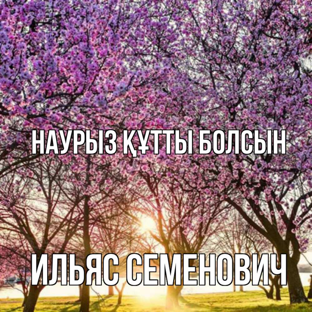 Картинка Наурыз құтты болсын, Ильяс Семенович