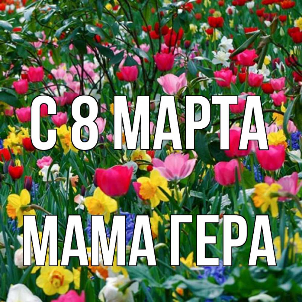 Открытка на каждый день с именем, Мама-Гера С 8 марта с международным женским днем поздравления для женщины Прикольная открытка с пожеланием онлайн скачать бесплатно 
