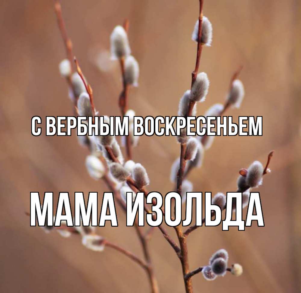Открытка на каждый день с именем, Мама-Изольда С вербным воскресеньем верба Прикольная открытка с пожеланием онлайн скачать бесплатно 