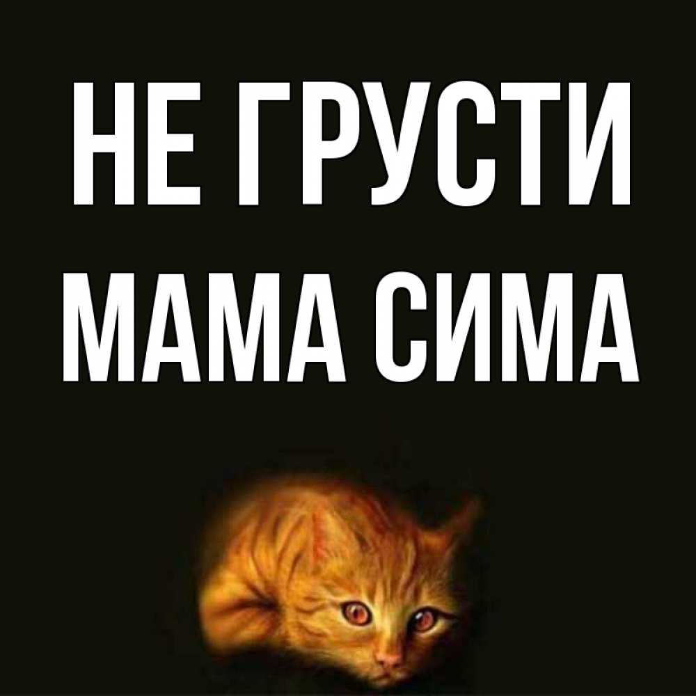Открытка на каждый день с именем, Мама-Сима Не грусти лежащий кот в темноте Прикольная открытка с пожеланием онлайн скачать бесплатно 