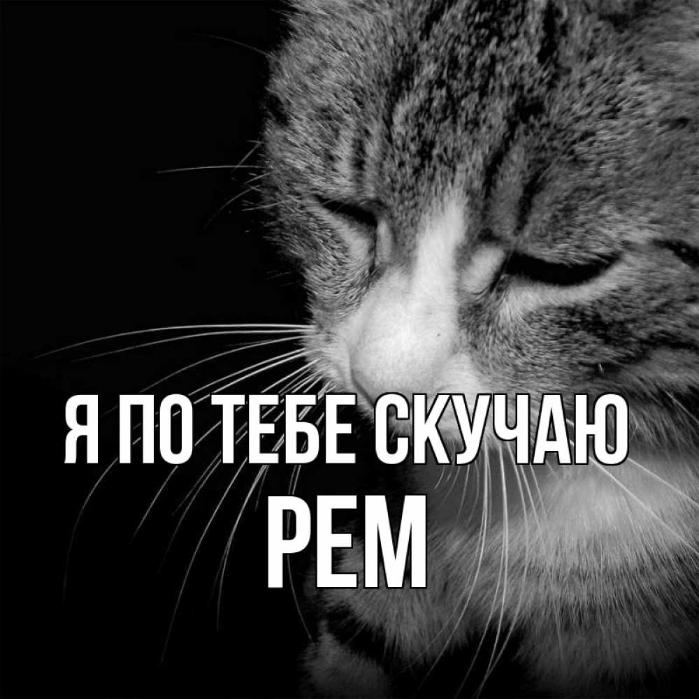 Открытка на каждый день с именем, Рем Я по тебе скучаю мне скучно Прикольная открытка с пожеланием онлайн скачать бесплатно 