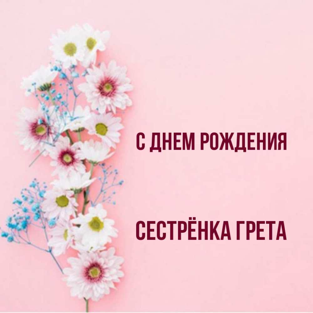 Открытка на каждый день с именем, Сестрёнка-Грета С днем рождения Родная моя с днем рождения тебя картинка с цветами белыми и голубыми Прикольная открытка с пожеланием онлайн скачать бесплатно 