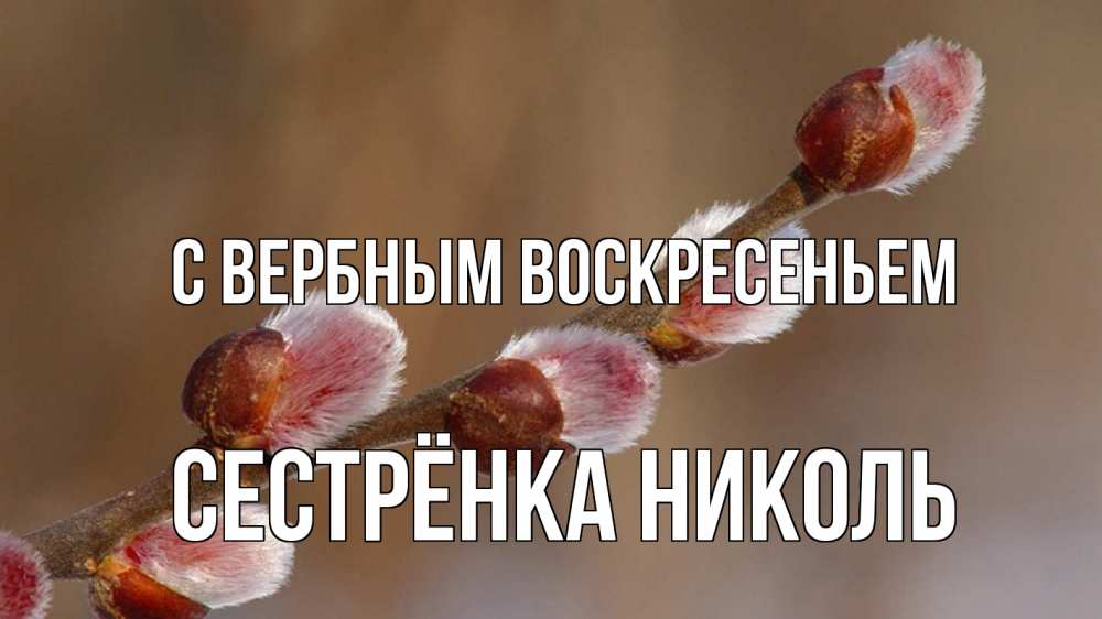 Открытка на каждый день с именем, Сестрёнка-Николь С вербным воскресеньем верба Прикольная открытка с пожеланием онлайн скачать бесплатно 