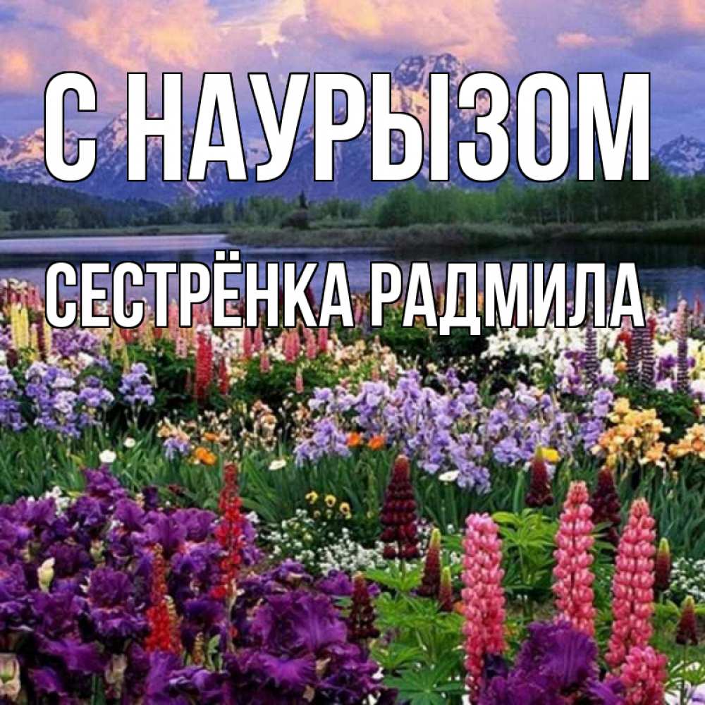 Открытка на каждый день с именем, Сестрёнка-Радмила С наурызом праздник весны наурыз Прикольная открытка с пожеланием онлайн скачать бесплатно 
