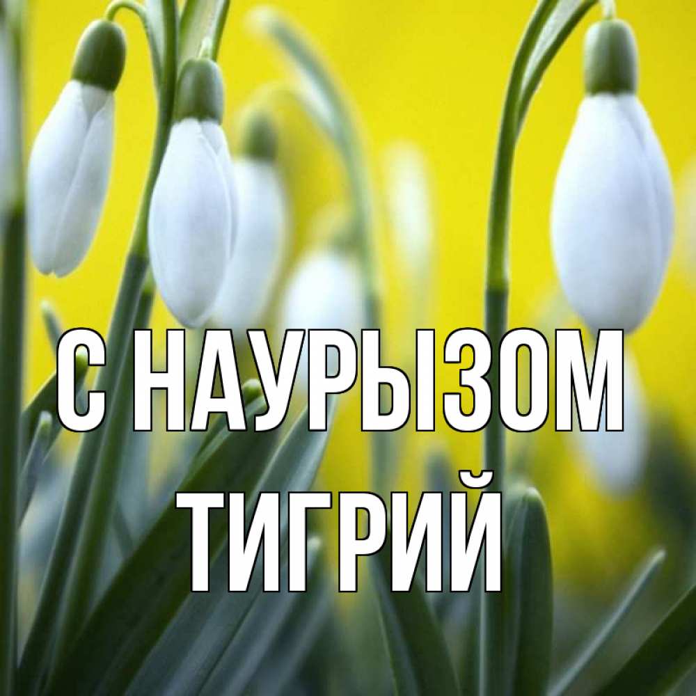 Открытка на каждый день с именем, Тигрий С наурызом весенние цветы Прикольная открытка с пожеланием онлайн скачать бесплатно 