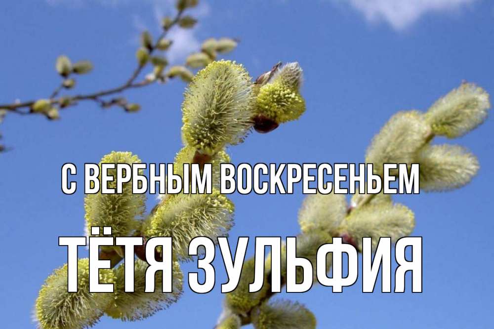 Открытка на каждый день с именем, Тётя-Зульфия С вербным воскресеньем верба Прикольная открытка с пожеланием онлайн скачать бесплатно 
