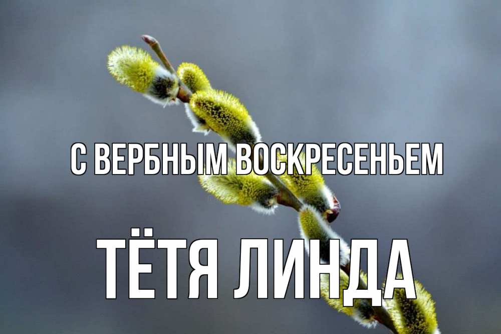 Открытка на каждый день с именем, Тётя-Линда С вербным воскресеньем верба Прикольная открытка с пожеланием онлайн скачать бесплатно 