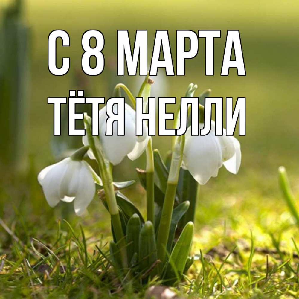 Открытка на каждый день с именем, Тётя-Нелли С 8 МАРТА ранние цветы 2 Прикольная открытка с пожеланием онлайн скачать бесплатно 