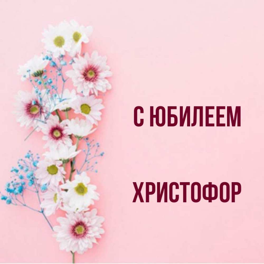 Открытка на каждый день с именем, Христофор С юбилеем Родная моя с днем рождения тебя картинка с цветами белыми и голубыми Прикольная открытка с пожеланием онлайн скачать бесплатно 