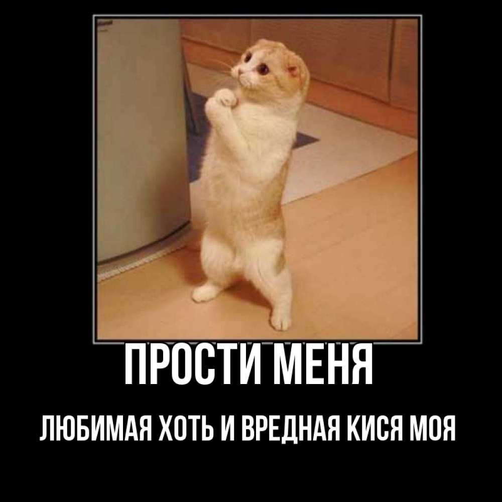 Картинки простите за опоздание