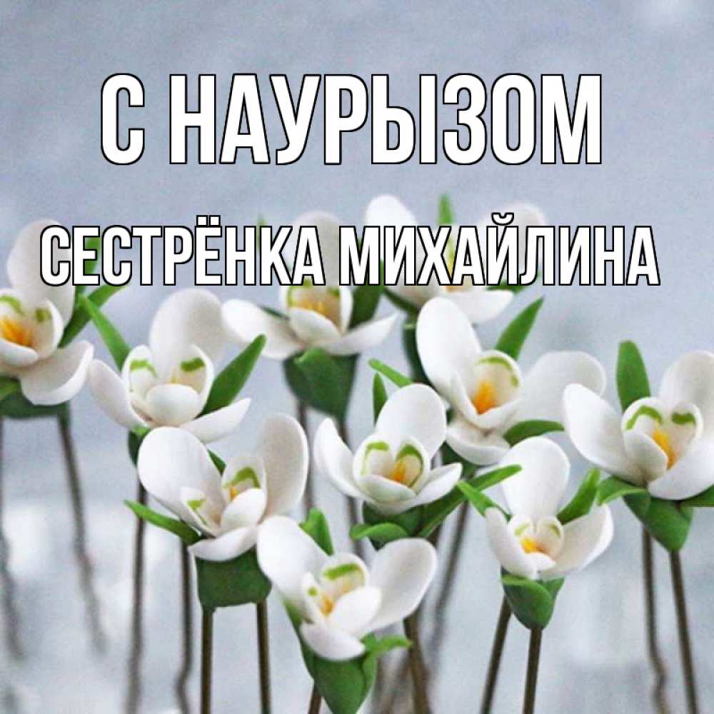 Открытка на каждый день с именем, Сестрёнка-Михайлина С наурызом весенние цветы Прикольная открытка с пожеланием онлайн скачать бесплатно 