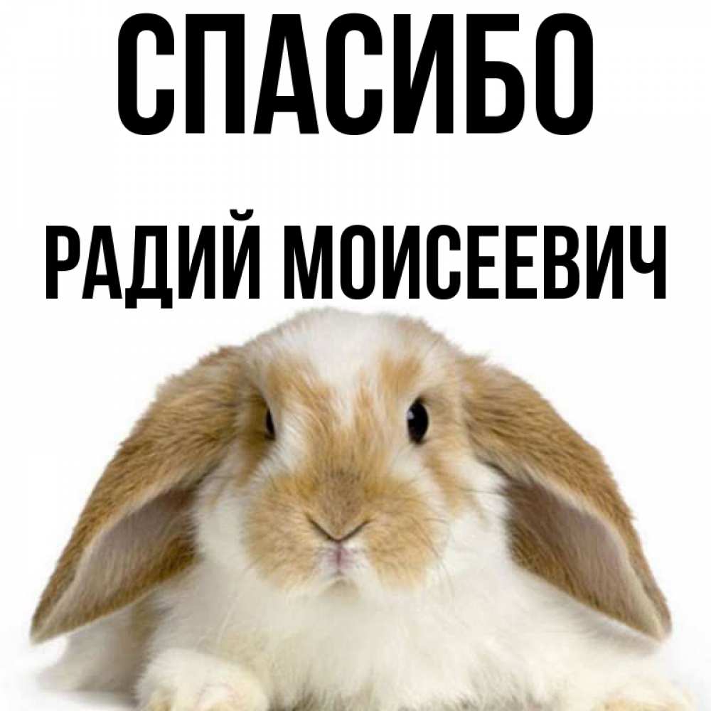 Радий имя