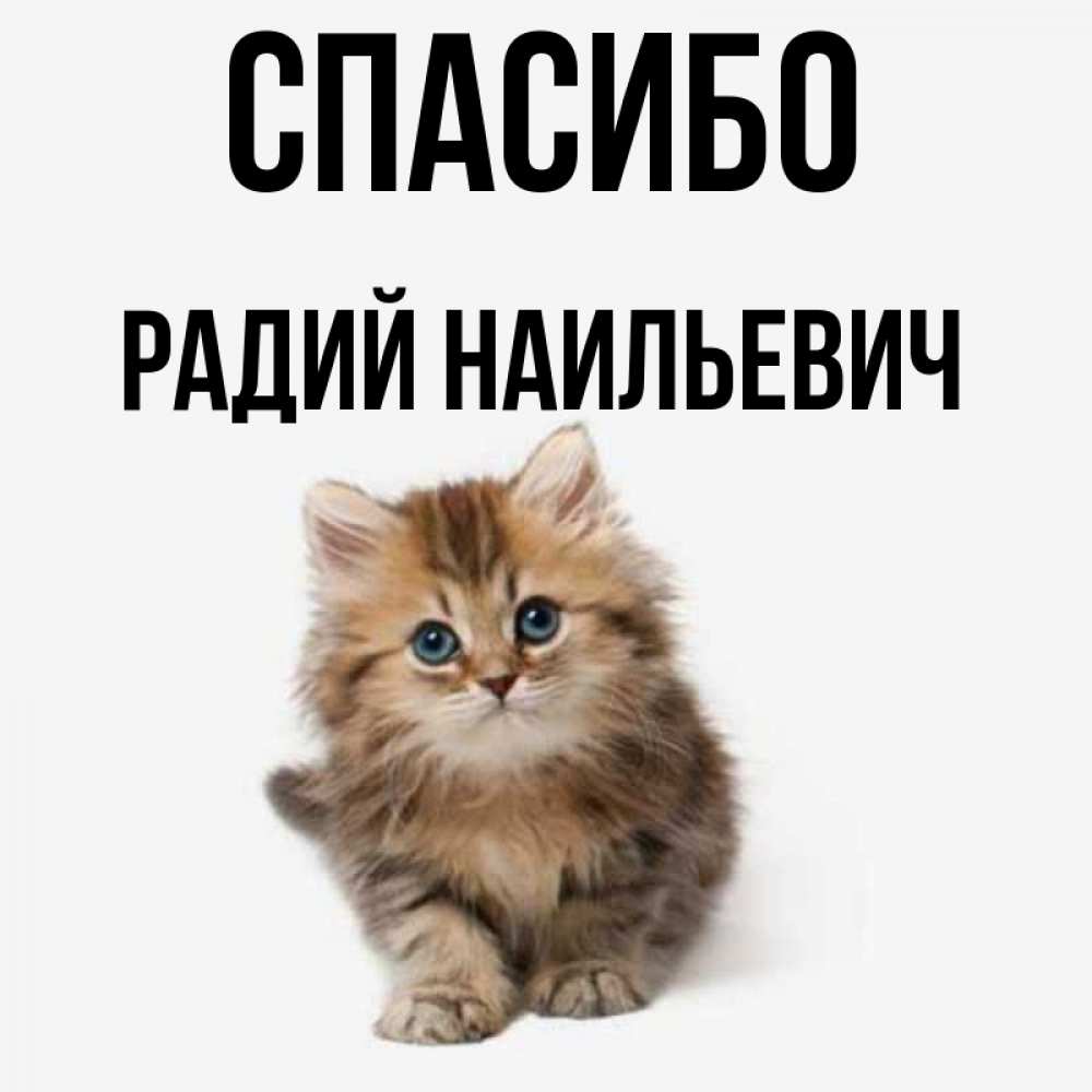 Радий имя. Дашуля спасибо большое.