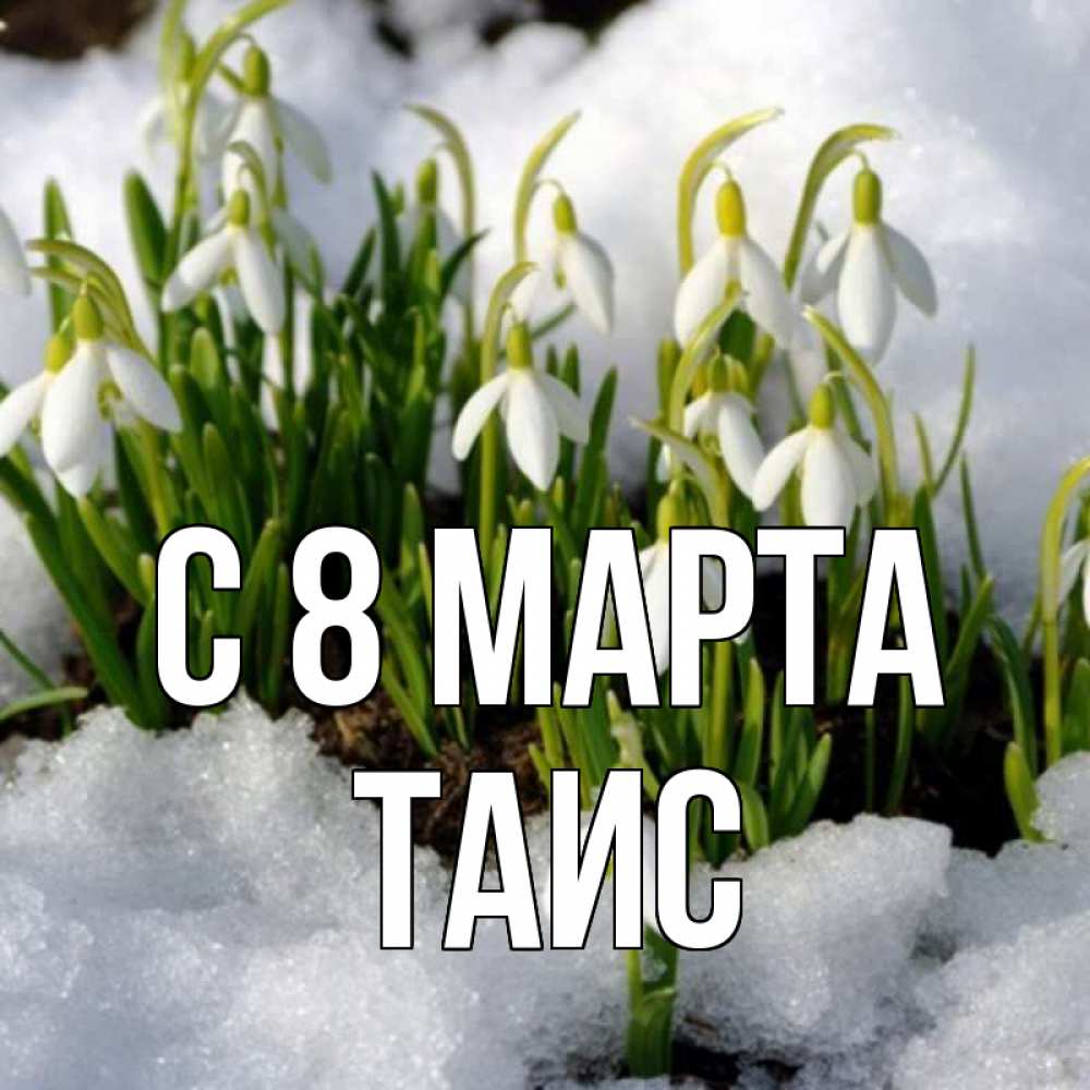 Открытка на каждый день с именем, Таис С 8 марта цветы весенние Прикольная открытка с пожеланием онлайн скачать бесплатно 