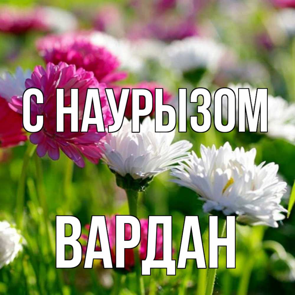 Открытка на каждый день с именем, Вардан С наурызом праздник весны наурыз красота Прикольная открытка с пожеланием онлайн скачать бесплатно 