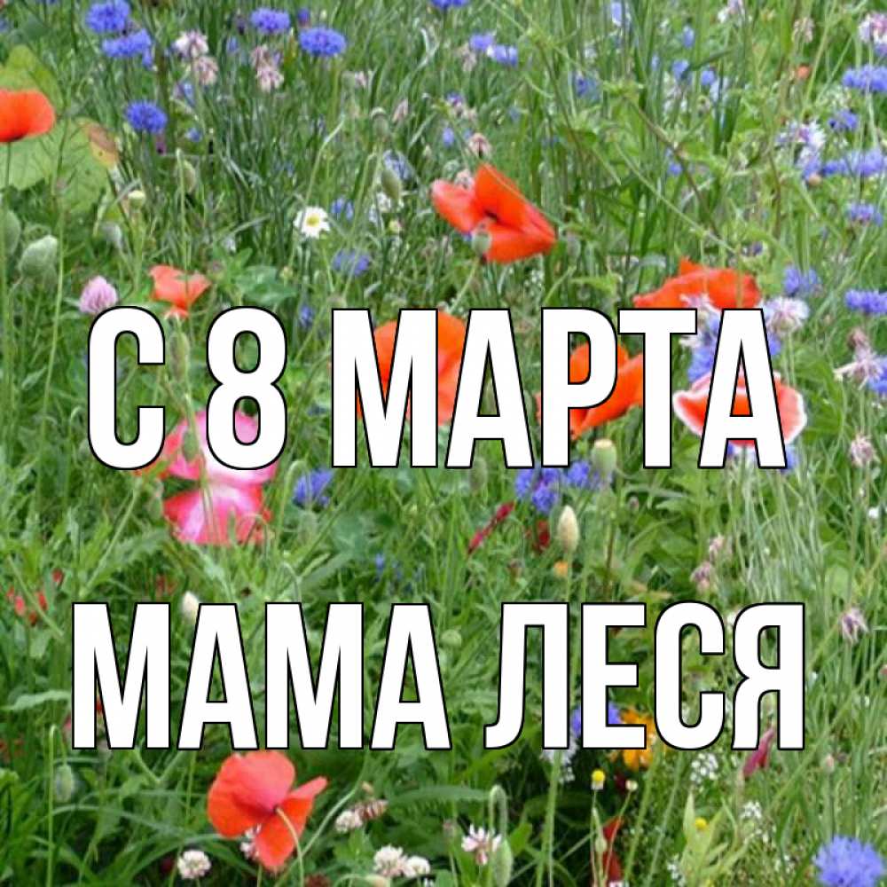 Открытка на каждый день с именем, Мама-Леся С 8 марта международный женский день 4 Прикольная открытка с пожеланием онлайн скачать бесплатно 