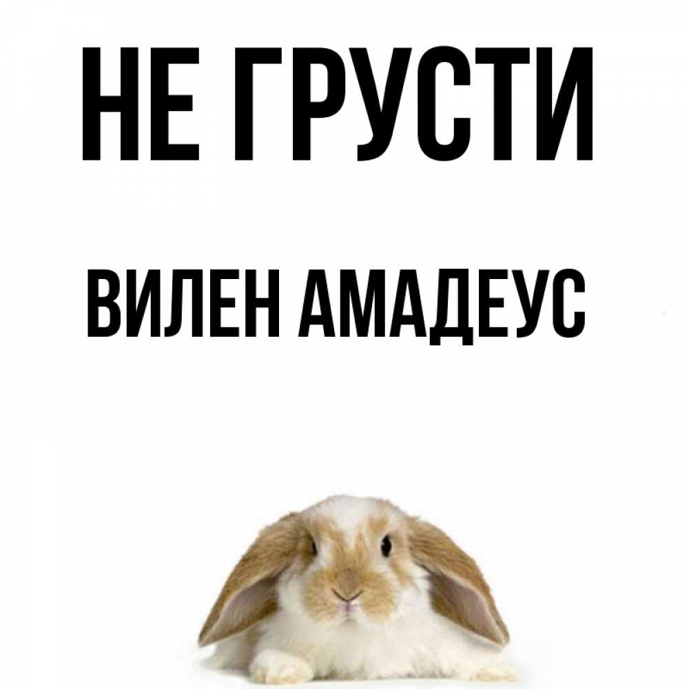 Открытка с именем, Вилен Амадеус, Не грусти