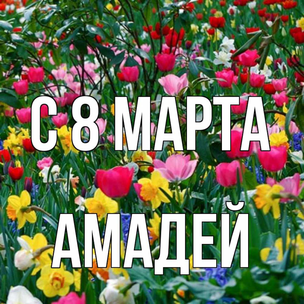 Открытка на каждый день с именем, Амадей С 8 МАРТА с международным женским днем поздравления для женщины Прикольная открытка с пожеланием онлайн скачать бесплатно 