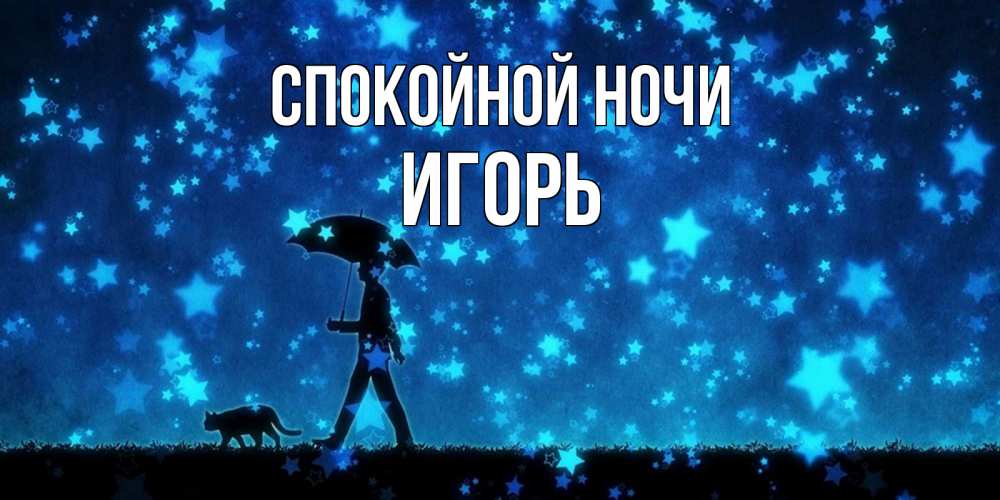 Открытка на каждый день с именем, Игорь Спокойной ночи ночные прогулки с котом под звездами Прикольная открытка с пожеланием онлайн скачать бесплатно 