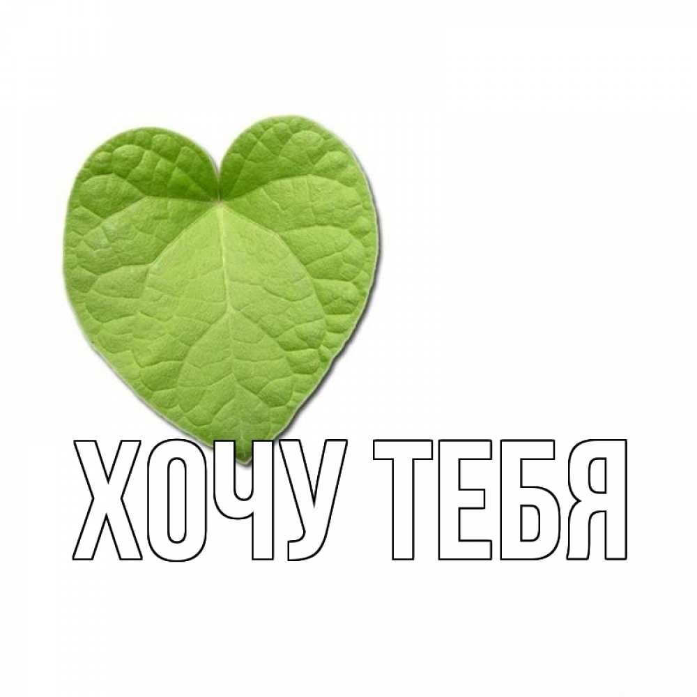 Открытка на каждый день с именем, Хочу-тебя Главная тебе Прикольная открытка с пожеланием онлайн скачать бесплатно 