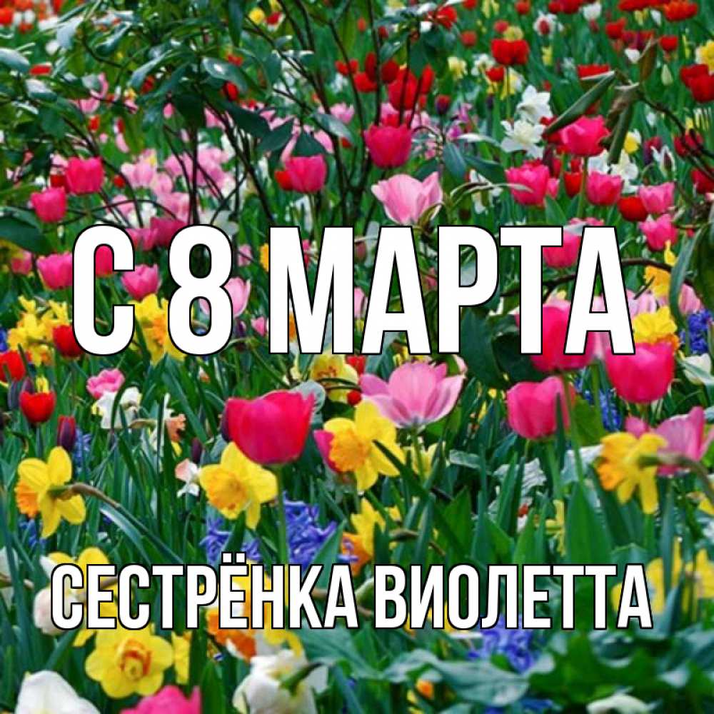 Открытка на каждый день с именем, Сестрёнка-Виолетта С 8 МАРТА с международным женским днем поздравления для женщины Прикольная открытка с пожеланием онлайн скачать бесплатно 