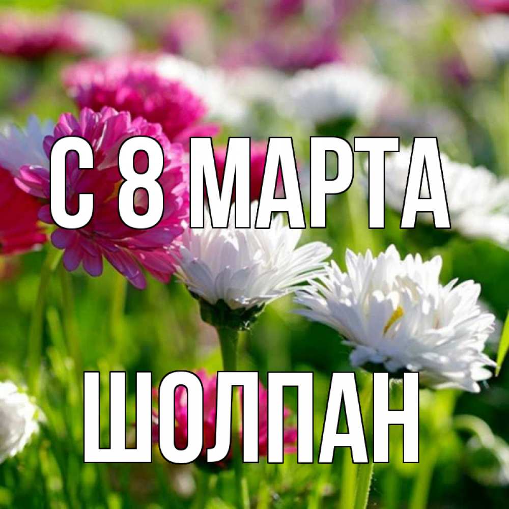 Открытка на каждый день с именем, Шолпан С 8 МАРТА международный женский день 1 Прикольная открытка с пожеланием онлайн скачать бесплатно 