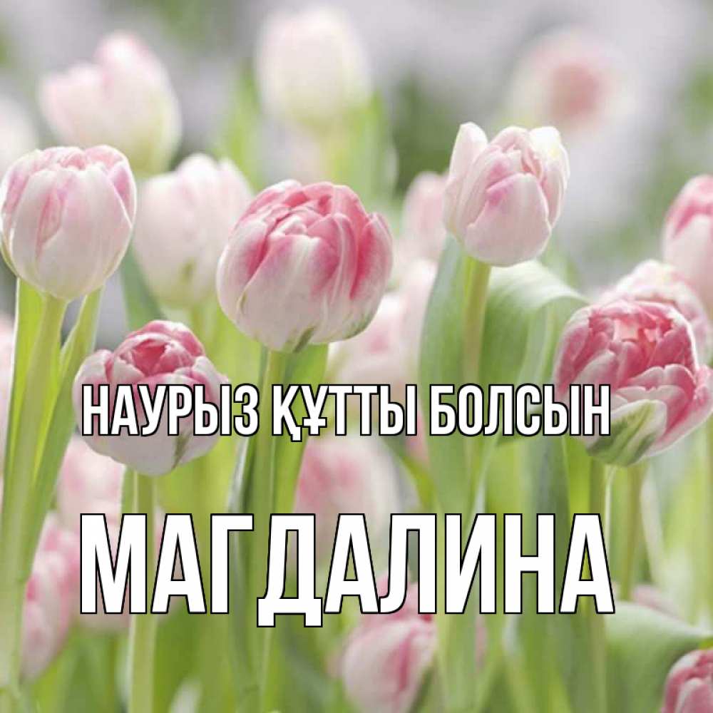Открытка на каждый день с именем, Магдалина Наурыз құтты болсын цветы Прикольная открытка с пожеланием онлайн скачать бесплатно 