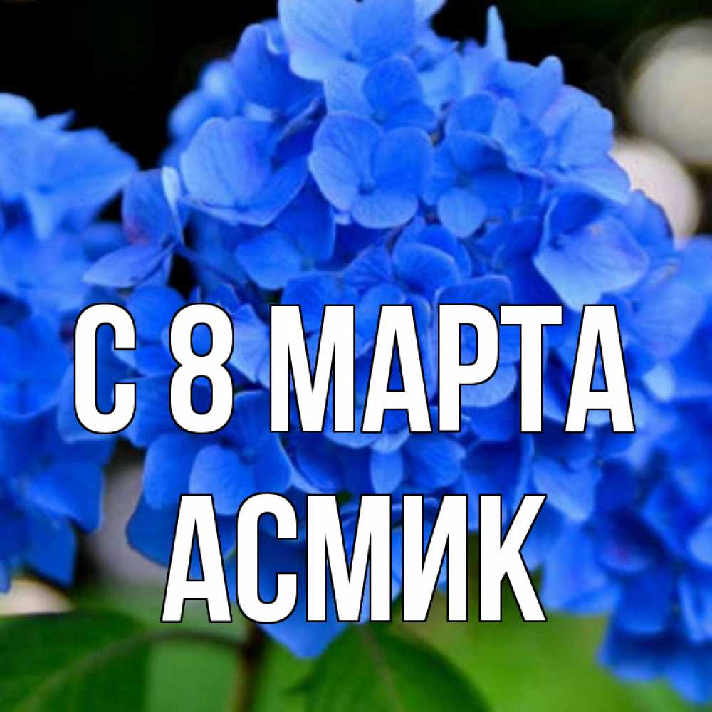 Картинка С 8 МАРТА, Асмик