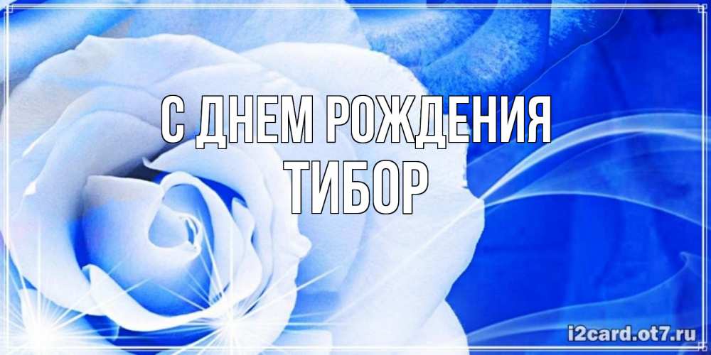 Открытка на каждый день с именем, Тибор С днем рождения белая роза на голубом фоне Прикольная открытка с пожеланием онлайн скачать бесплатно 