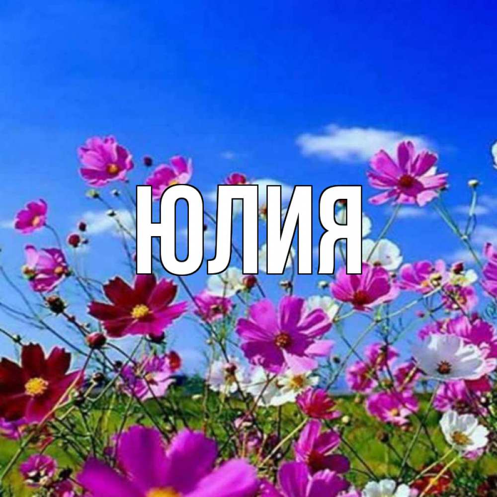 Открытки, открытка имя юля