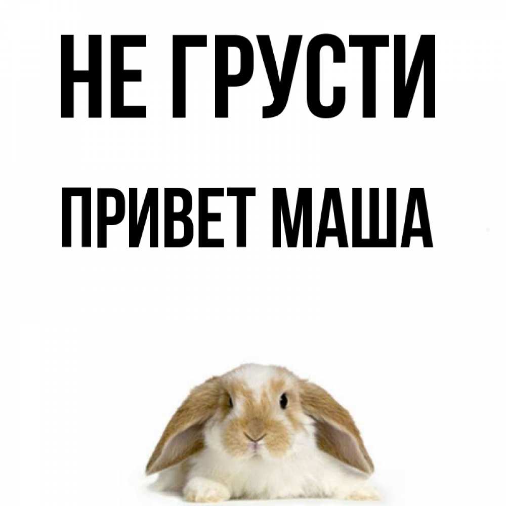 Не махай. Маша привет картинки. Привет не грусти. Грустный привет в картинках. Открытки Маша привет!