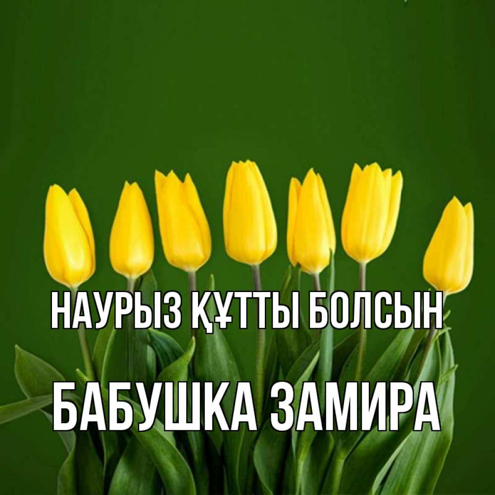 Открытка на каждый день с именем, Бабушка-Замира Наурыз құтты болсын желтого цвета 3 Прикольная открытка с пожеланием онлайн скачать бесплатно 