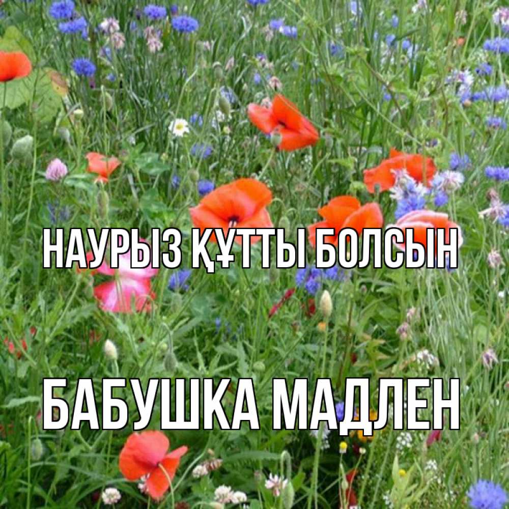 Открытка на каждый день с именем, Бабушка-Мадлен Наурыз құтты болсын наурыз  4 Прикольная открытка с пожеланием онлайн скачать бесплатно 