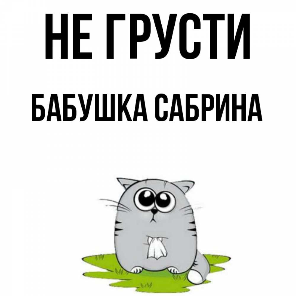 Открытка на каждый день с именем, Бабушка-Сабрина Не грусти грустный котяра Прикольная открытка с пожеланием онлайн скачать бесплатно 