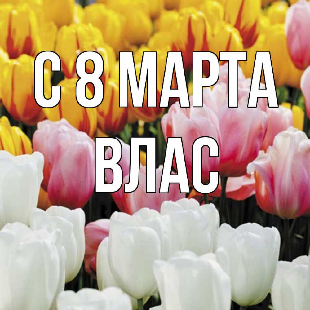 Открытка на каждый день с именем, Влас С 8 МАРТА разноцветные цветы Прикольная открытка с пожеланием онлайн скачать бесплатно 