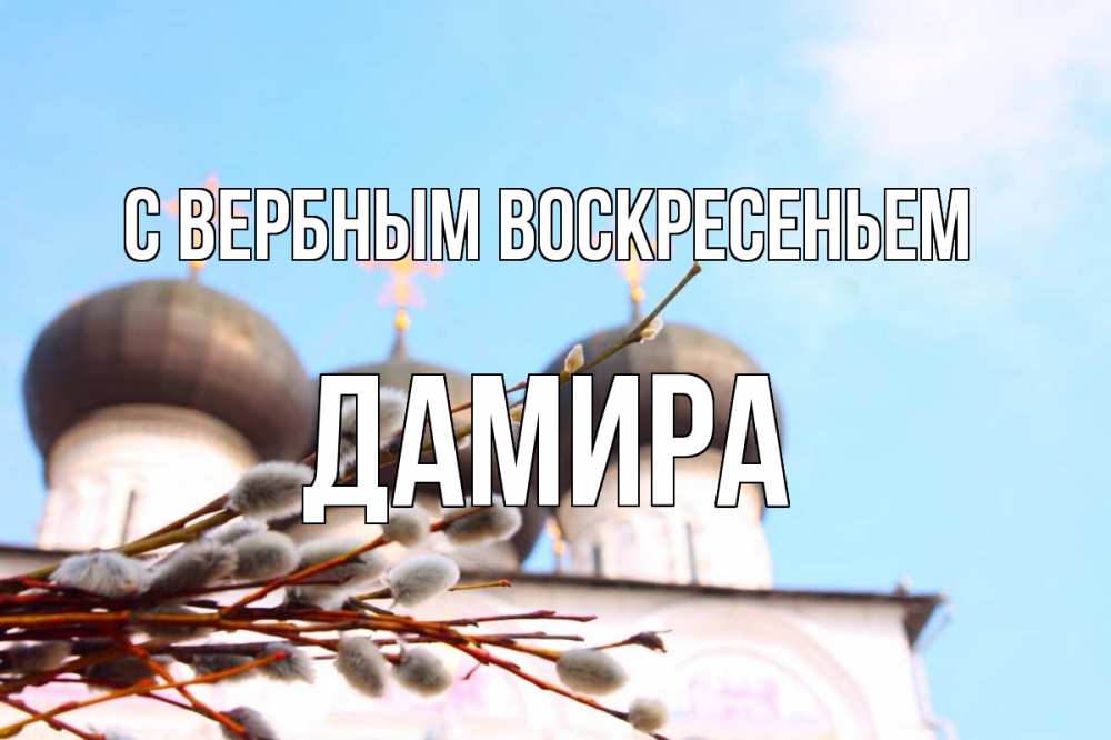 Открытка на каждый день с именем, Дамира С вербным воскресеньем верба Прикольная открытка с пожеланием онлайн скачать бесплатно 