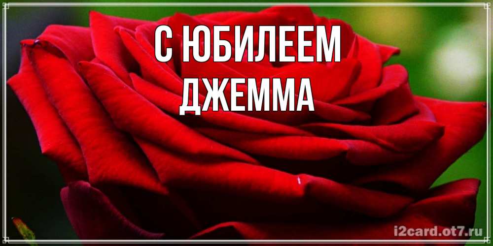 Открытка на каждый день с именем, Джемма С юбилеем розочка очень красивая Прикольная открытка с пожеланием онлайн скачать бесплатно 