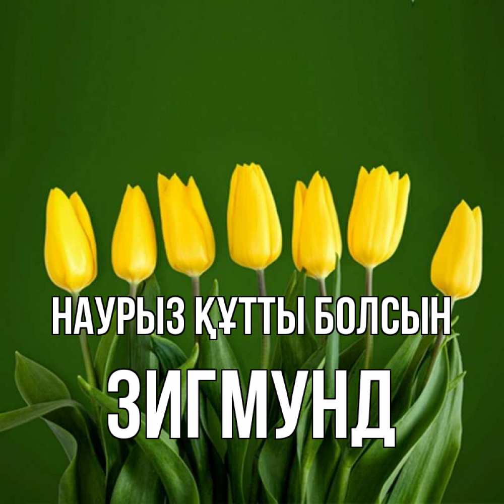 Открытка на каждый день с именем, Зигмунд Наурыз құтты болсын желтого цвета 3 Прикольная открытка с пожеланием онлайн скачать бесплатно 