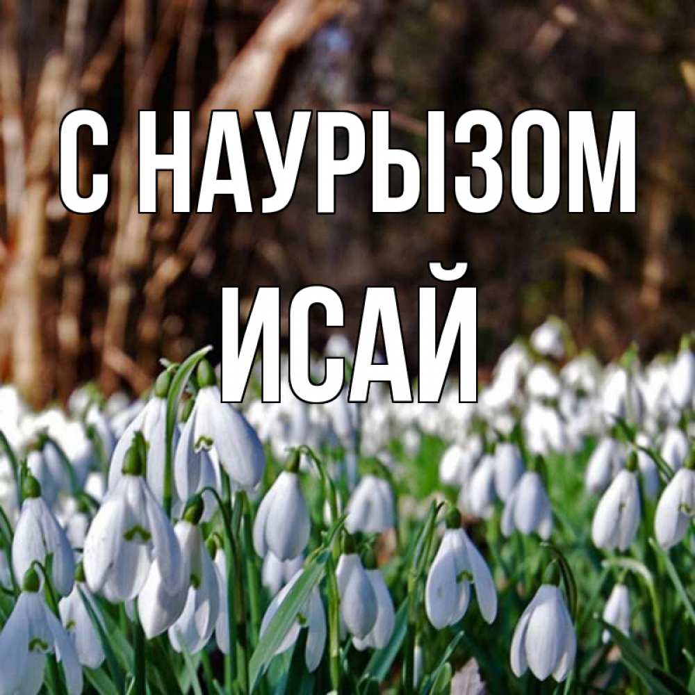 Открытка на каждый день с именем, Исай С наурызом с подснежниками 1 Прикольная открытка с пожеланием онлайн скачать бесплатно 