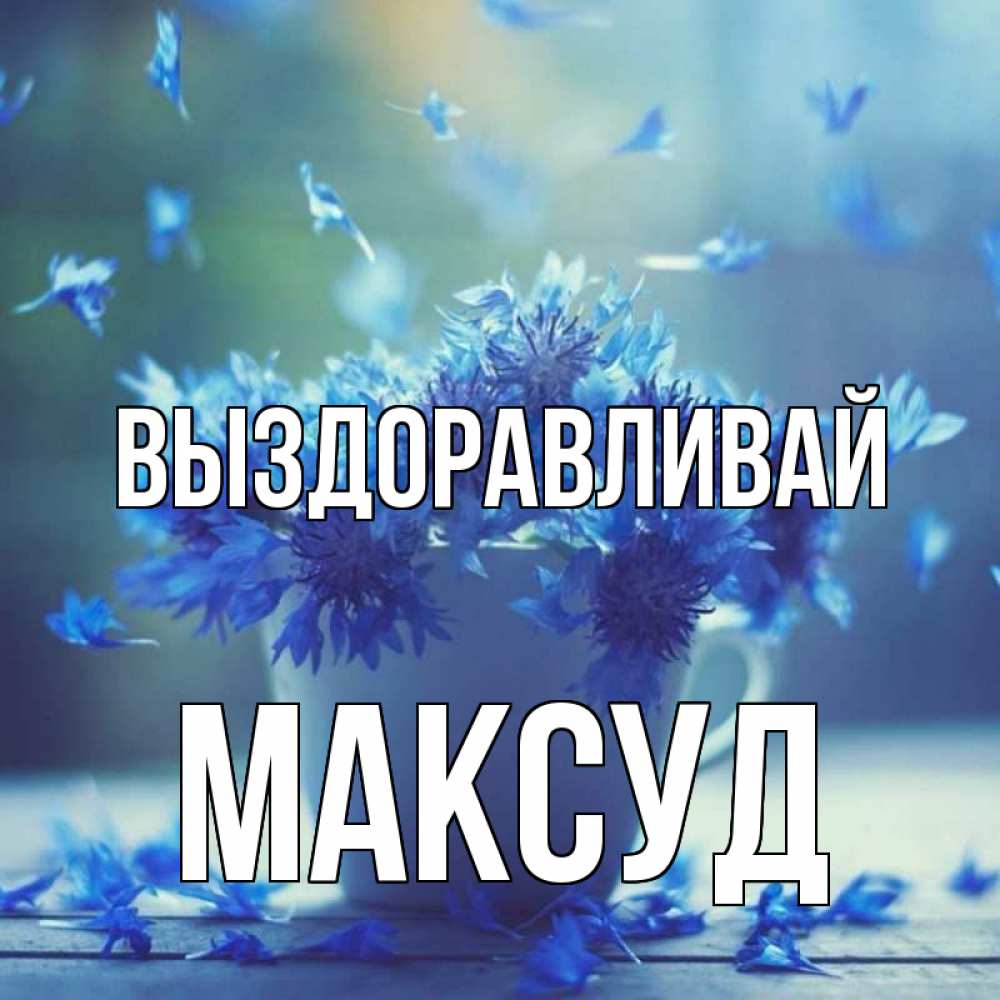 Открытка на каждый день с именем, Максуд Выздоравливай кружка с зельем и цветами Прикольная открытка с пожеланием онлайн скачать бесплатно 