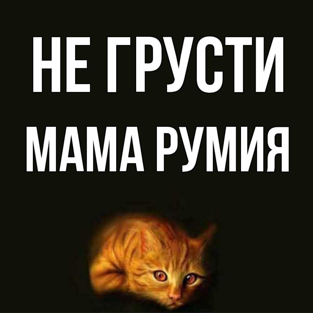 Открытка на каждый день с именем, Мама-Румия Не грусти лежащий кот в темноте Прикольная открытка с пожеланием онлайн скачать бесплатно 