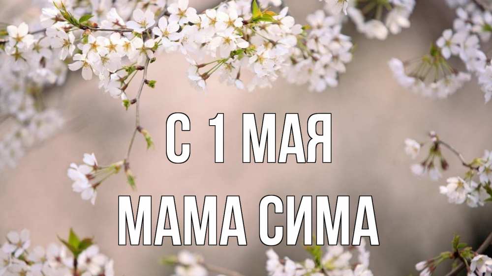 Открытка на каждый день с именем, Мама-Сима С 1 мая С 1 мая Прикольная открытка с пожеланием онлайн скачать бесплатно 