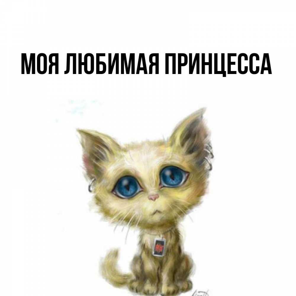 Открытка на каждый день с именем, Моя-Любимая-Принцесса Главная рисованный кот благодарит вас Прикольная открытка с пожеланием онлайн скачать бесплатно 