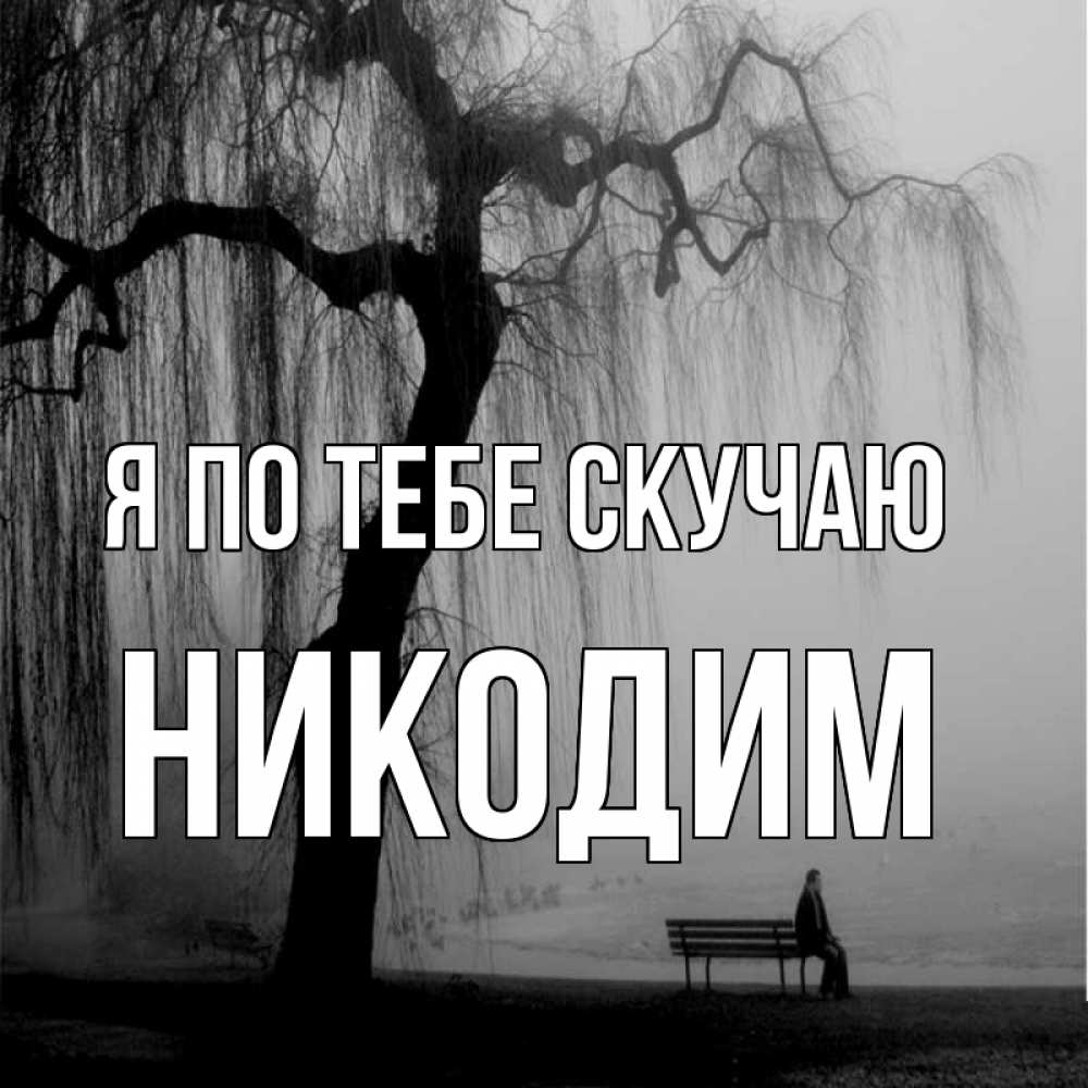 Открытка на каждый день с именем, Никодим Я по тебе скучаю лавочка под деревом я жду тебя Прикольная открытка с пожеланием онлайн скачать бесплатно 
