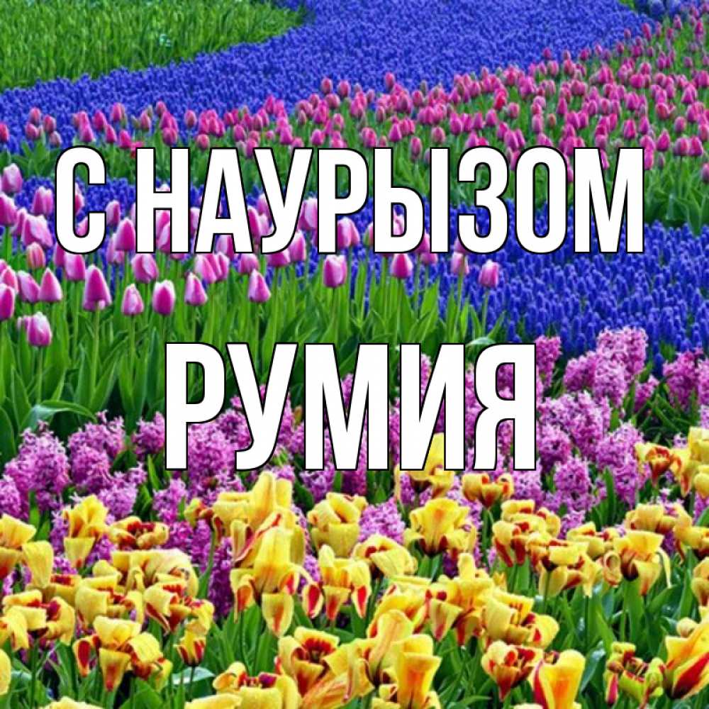 Открытка на каждый день с именем, Румия С наурызом цветы Прикольная открытка с пожеланием онлайн скачать бесплатно 